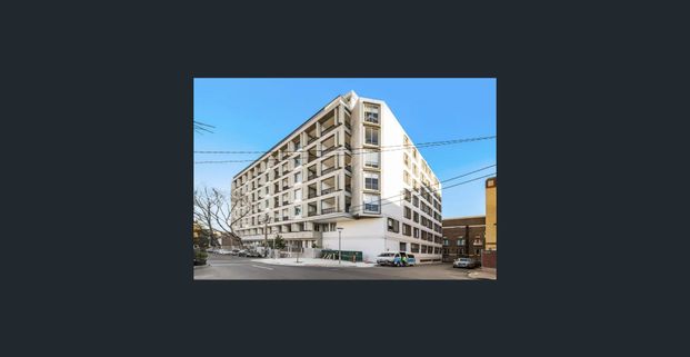 Immaculate Oversized Studio Apartment - Photo 1