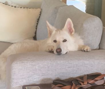 Mudgeeraba - Photo 3