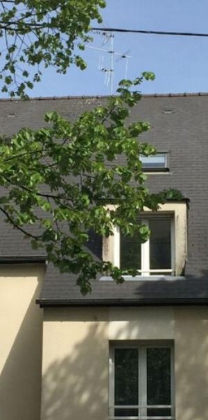 Location Appartement 1 pièce(s) de 17.4 m2 - Photo 1