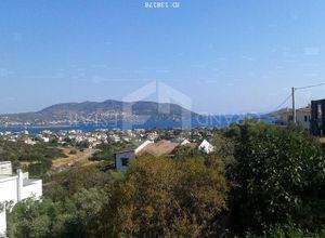 Μονοκατοικία για ενοικίαση - Μαρκόπουλο, - Photo 3