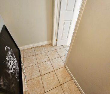 175 Ecclestone Drive #BSMT - Photo 4