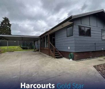 Four Bedroom House - Waihi - Photo 5