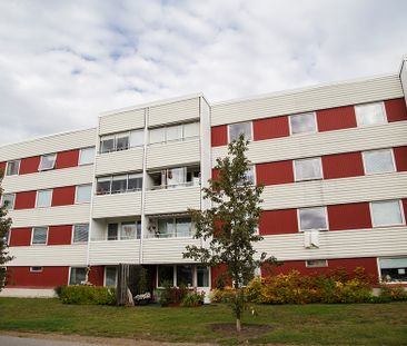 Hamnplan 14 B, 94161, Piteå - Photo 5