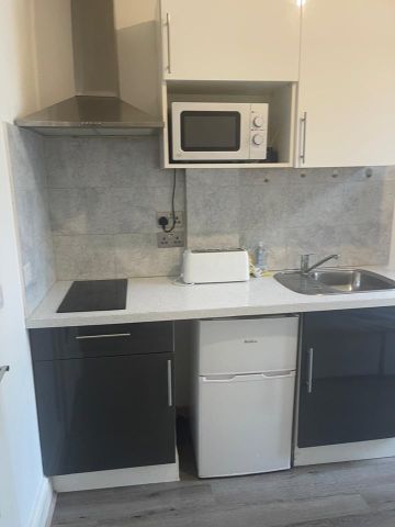 Studio Flat, Wood Lane, W12 - Photo 3