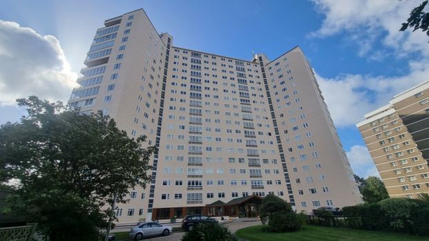 SEA VIEWS at Albany Manor Rd - Photo 1