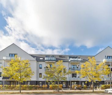 ERSTER MONAT MIETFREI: Erdgeschoss-Neubauwohnung in ruhiger Lage - Photo 5