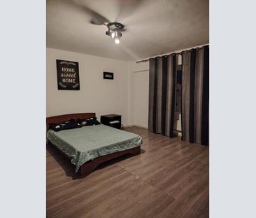 Unirii-Piata Alba Iulia-Bulevardul Burebista, garsoniera de inchiriat - Photo 3