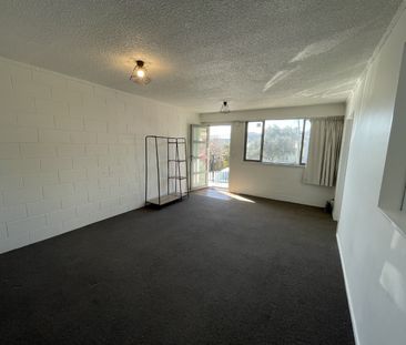 First Week Free Rent In Mt Victoria! - Photo 5
