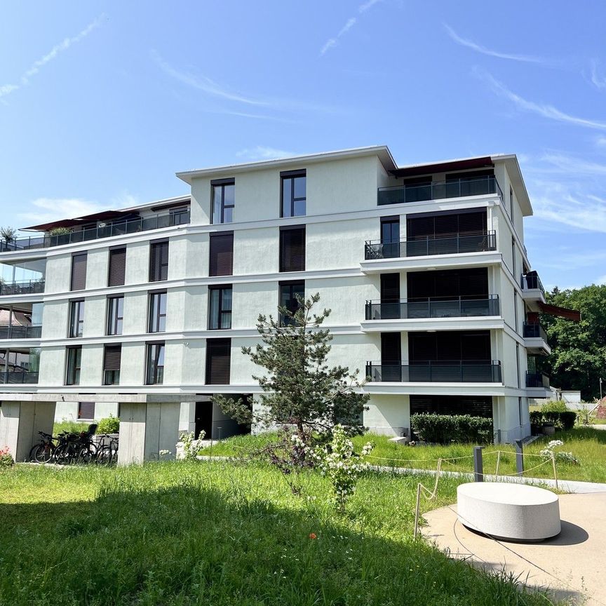 «Baumpark» Wohnen in parkartiger Landschaft in Pfäffikon ZH - Foto 1