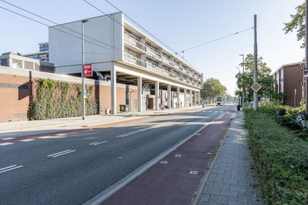 Te huur: Kamer Hanzestraat in Arnhem - Photo 2