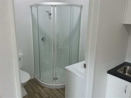 Modern Furnished Studio Rooms – Prime Lorne Street Location Located on Lorne Street, just a 5-minute walk to Waikato and Braemar Hospitals and close to the CBD and Wintec, these stylish studio rooms offer convenient, low-maintenance living — perfect for singles or couples. - Photo 4