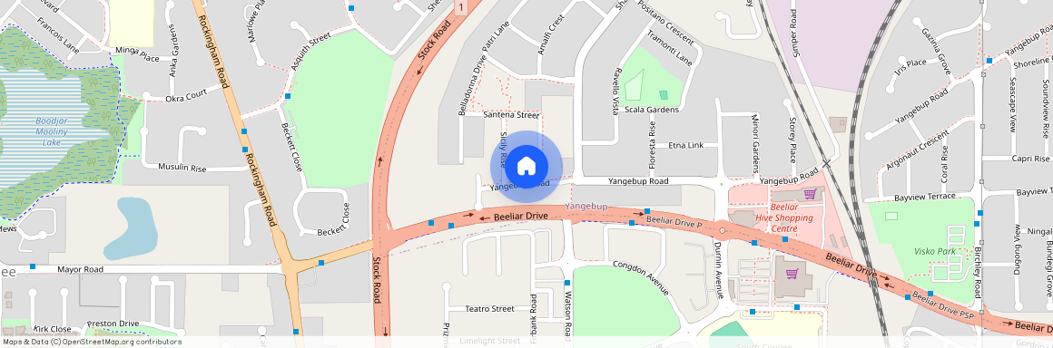 19 Tortorici Way, WA 6164, Yangebup