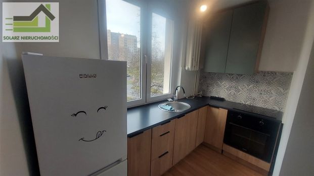 Mysłowice, Wielka Skotnica - Zdjęcie 1