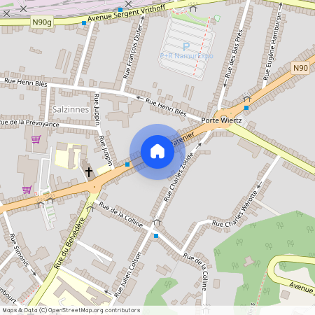 Rue Patenier, 41, 5000, Namur