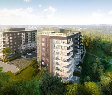 Ch. St-François-Xavier, J5R 0V1, Candiac - Photo 4