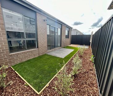 59 Ornament Avenue, Tarneit, Vic 3029 - Photo 6