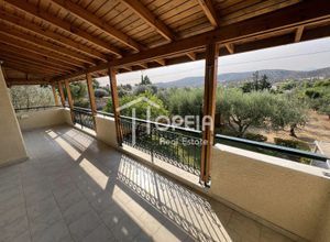 Μονοκατοικία για ενοικίαση - Κορωπί, - Photo 5