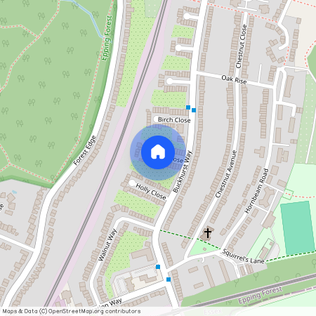 Willow Close, Buckhurst Hill, IG9 6HS