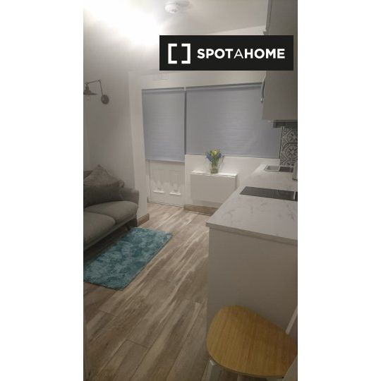 Studio for rent in Dublin - Photo 1