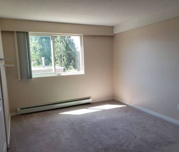 Seafair / Steveston Apartment for Rent - Photo 1