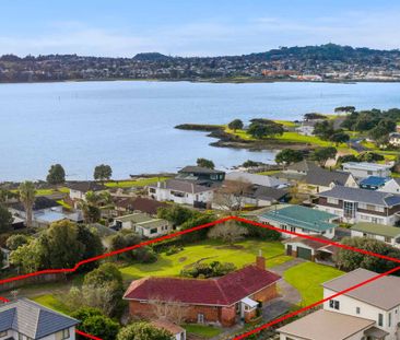 Lifestyle Property in Central Auckland - Photo 5