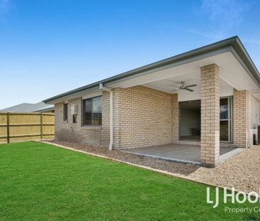 New Year, New Home? Long Term Tenants Wanted! - Photo 6