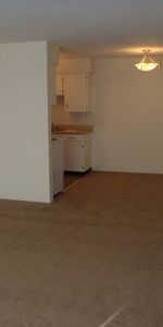 1 Bedroom Suite (Apartment Complex) - Photo 4