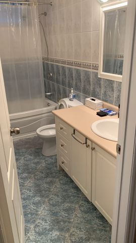 For Lease - 149 Cedric Avenue Unit# Lower, Toronto, Ontario - Photo 4