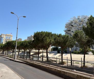 Location Appartement 1 pièce 21m² MONTPELLIER 34000 - Photo 4
