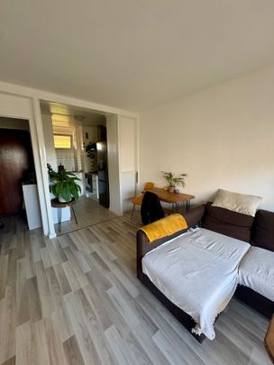 Location appartement, 2 pièces, 1 chambre, surface 41m² - Photo 1
