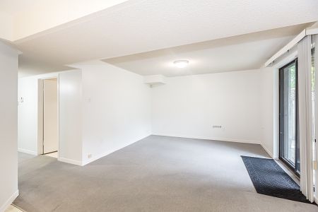 Newly Renovated Basement with 1 Bedroom For Rent - Photo 2