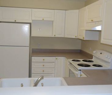 all new appliances new floor one bedroom apartment Maple Ridge - Photo 4