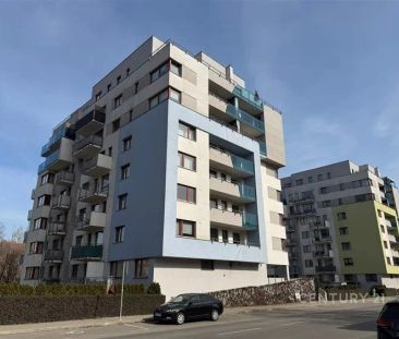 Světlý tichý byt 40 m - Fotografie 4