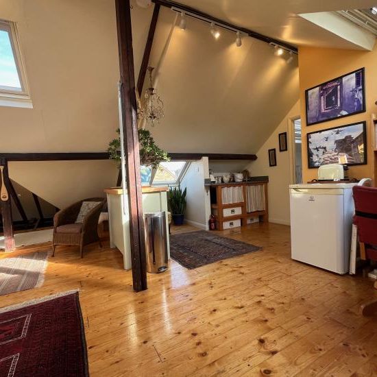 Large, sunny and private ensuite Attic Studio with kitchenette, near Tube - Photo 1