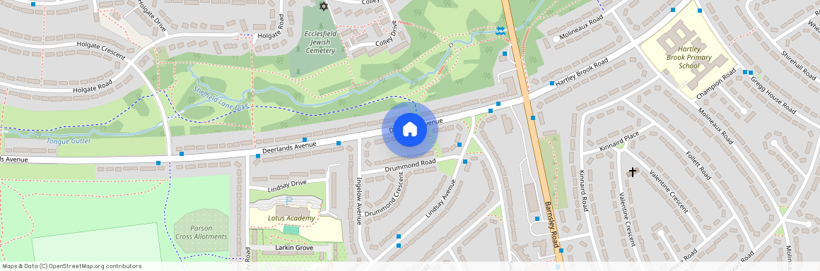 Deerlands Avenue, South Yorkshire S5