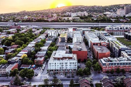 Appartement à louer - Montréal (Le Sud-Ouest) (Saint-Henri) - Photo 3