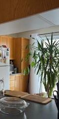 4 1/2 PETIT IMMEUBLE 2 Portes Patio - Photo 1