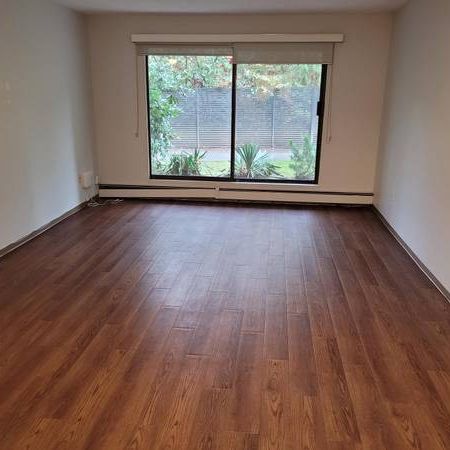 DO NOT PAY TILL MAR; 2 bedroom with storage near Lougheed Mall - Photo 1