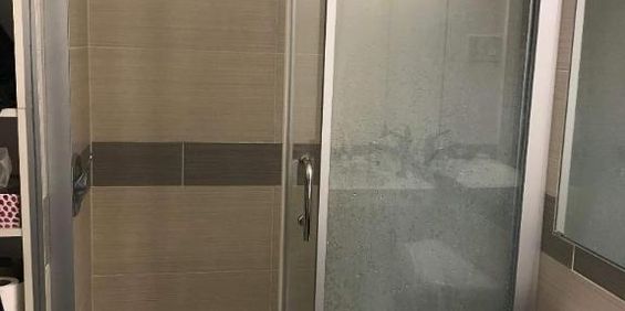 1 CH - 1 SDB - Montréal - $1,295 /mo - Photo 3