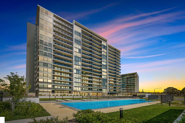 105/9 Irving Street, Phillip - Photo 1