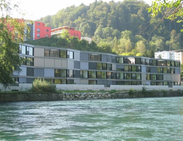 3.5 room apartment on the Reuss - Foto 1