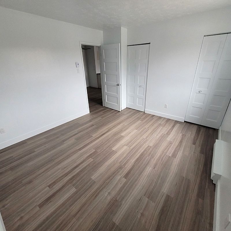 Logement 3 ½ entièrement rénové – Sherbrooke Secteur Université et Mont-Bellevue - Photo 1
