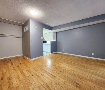 595 Somerset Street W - 203 - Photo 5