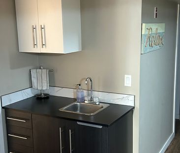 Furnished 2 Bedroom Lower in City Park - steps from the River - Photo 6