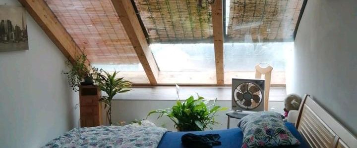 Großzügige Wohng. Hildesheim OT Achtum - Photo 1