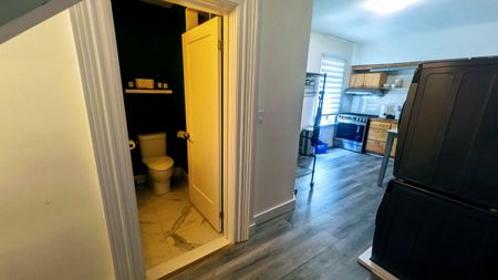 For Lease - 206 Bathurst Street Unit# Lower, Toronto, Ontario - Photo 3