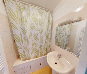 Location Appartement 1 pièce 24m² - Photo 3