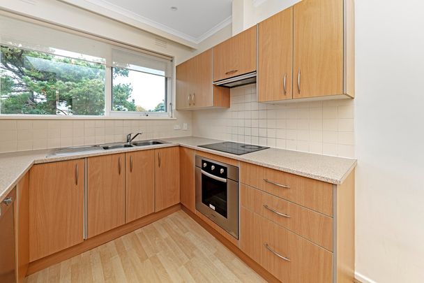Modern Comfort in the Heart of Glen Huntly! - Photo 1
