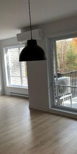 Logement 5 1/2 - mars 2026 - Photo 3