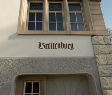 4.5 Rooms – Attic apartment in the attic - Photo 6